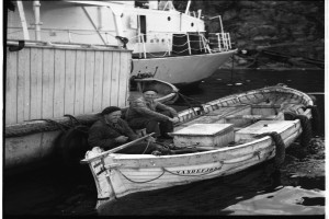 Bilde av 